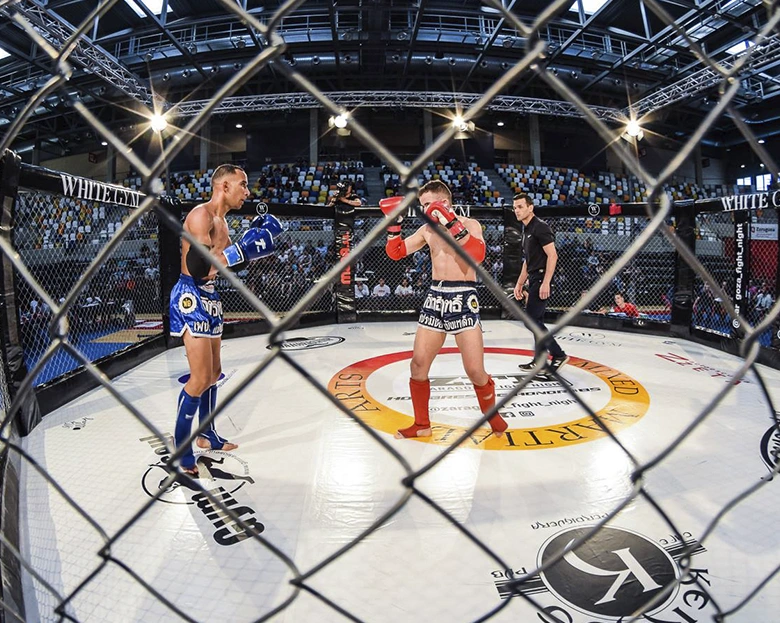 dos luchadores peleando