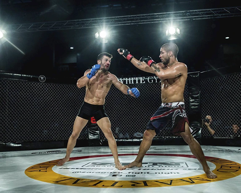 dos luchadores de MMA en el octógono