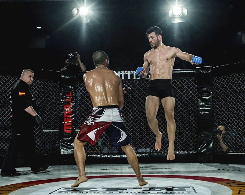 dos luchadores de MMA en el octógono