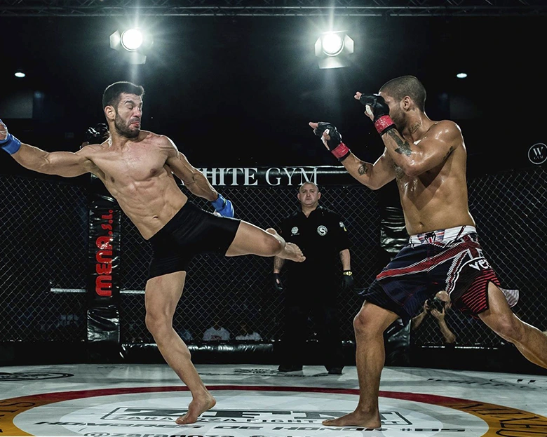 dos luchadores de MMA en el octógono