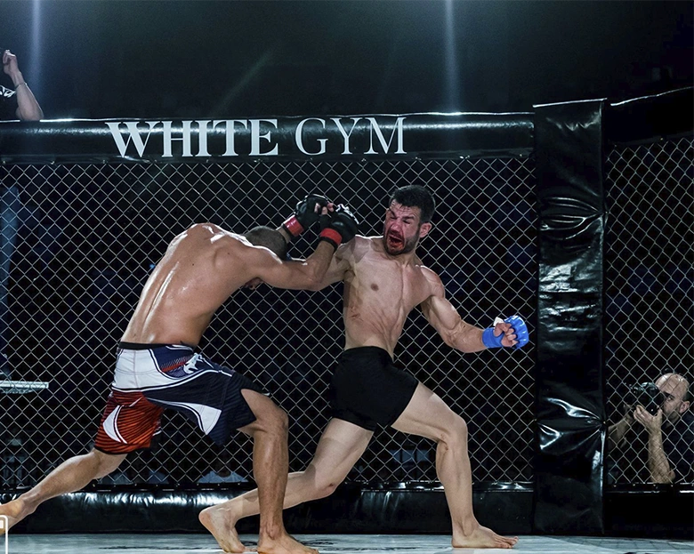 dos luchadores de MMA en el octógono