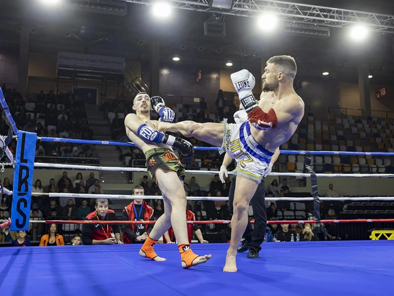 dos luchadores de k1